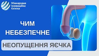 Неопущення яєчка у дитини: що потрібно знати? Дитяча хірургія