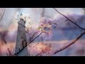 GARNET CROW / ♪君 連れ去る時の訪れを(karaoke)