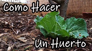 ¿Como Hacer un Huerto desde Cero? Explicado Paso a Paso