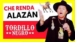 🐴 TORDILLO NEGRO - CHE RENDA ALAZÁN (Video Oficial)