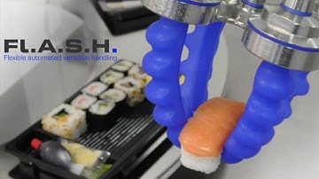 Fl.A.S.H. - flexible automated sensitive handling - Sushi-Food