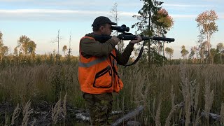 картинка: Охота на лося на реву \ Сильный ветер и медведь