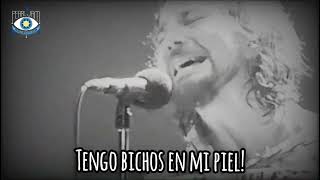 Pearl Jam - Bugs // Sub Español (Live Show)
