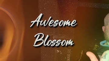 Rocka G - Awesome Blossom (Official Music Video)