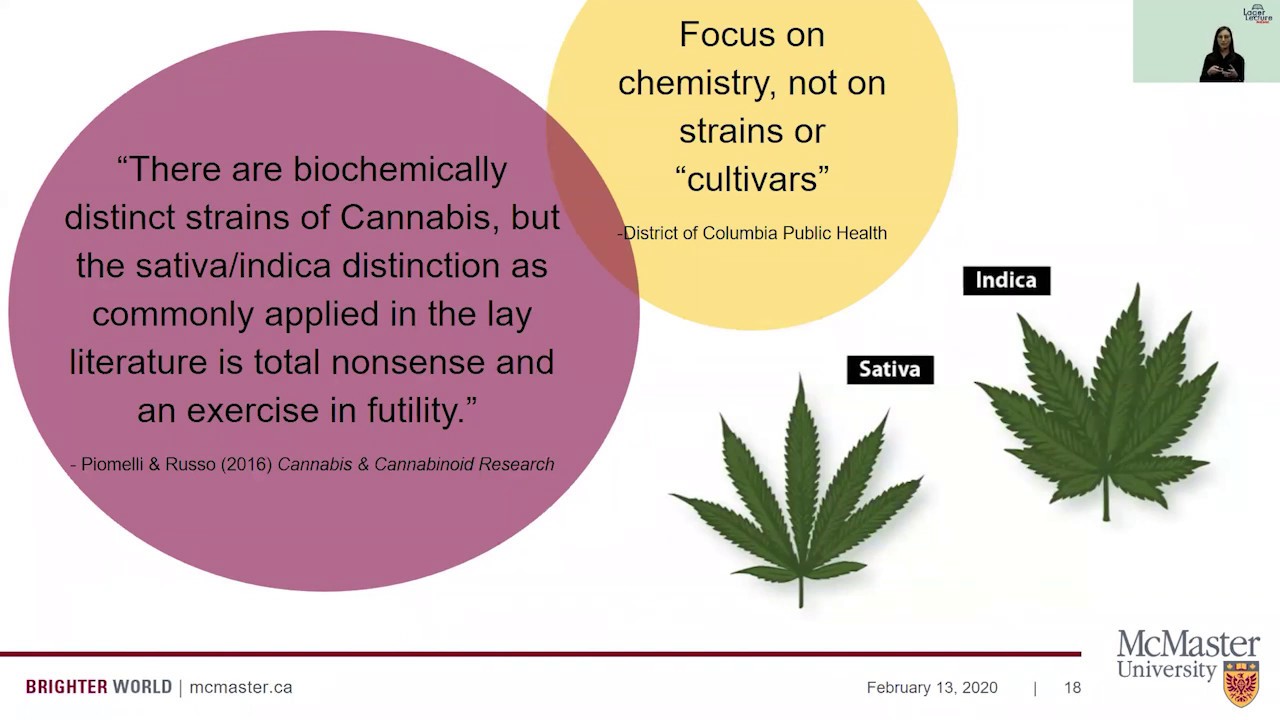 Image for Lager Lecture Online: ​Exploring Cannabis Use and Mental Health in Canada Post-Legalization webinar