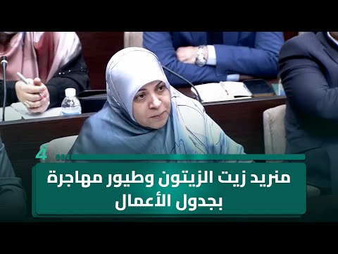 منريد زيت الزيتون وطيور مهاجرة بجدول الأعمال حنان الفتلاوي نتمنى أن يكون وقت البرلمان مقدسا 