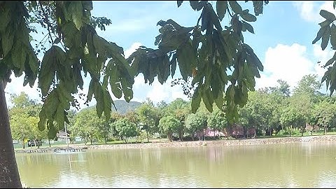 เดินทางไป นครยายก