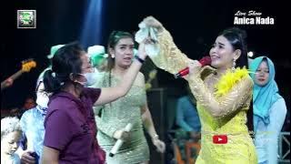 DIAN ANIC   JARAN JARANAN   ANICA NADA   THE BEST OF PANTURA