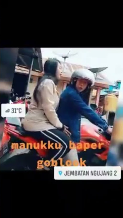 burung baper😁😁🤭🤭