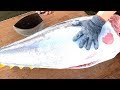 Tuna Fast Filleting for  Sushi  Sashimi Meal -  Asia Tuna Fishery