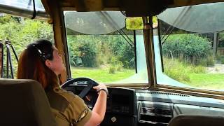 Disney World Animal Kingdom Kilimanjaro Safari led by Amber