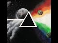 Pink floyd  coming back to life full song