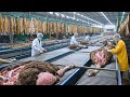 Inside The Ostrich Leather Factory Full Process From Farm Birds To 7 000 Jackets Inside The Ostrich Leather Factory Full Process From Farm Birds To 7 000 Jackets