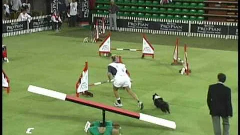 WC 2004 ~ Italy - Agility Team run -  Bailey & Gle...