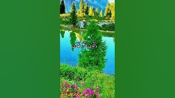سبح اسم ربك الأعلي #قران_كريم #سورة_الاعلى #تلاوة_خاشعة #ستوريات_انستا #سورة_البقرة #foryoupage