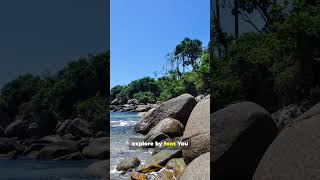 🐢 Ilha Grande: Brazil’s Magical Island of Nature & Secrets!
