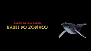 Baleia Baleia Baleia - Babes do Zodíaco