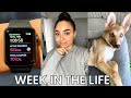 WEEK VLOG: Getting back on a productive/healthy routine and this company stole from me!