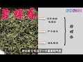 十大绿茶EP2：碧螺春，康熙命名