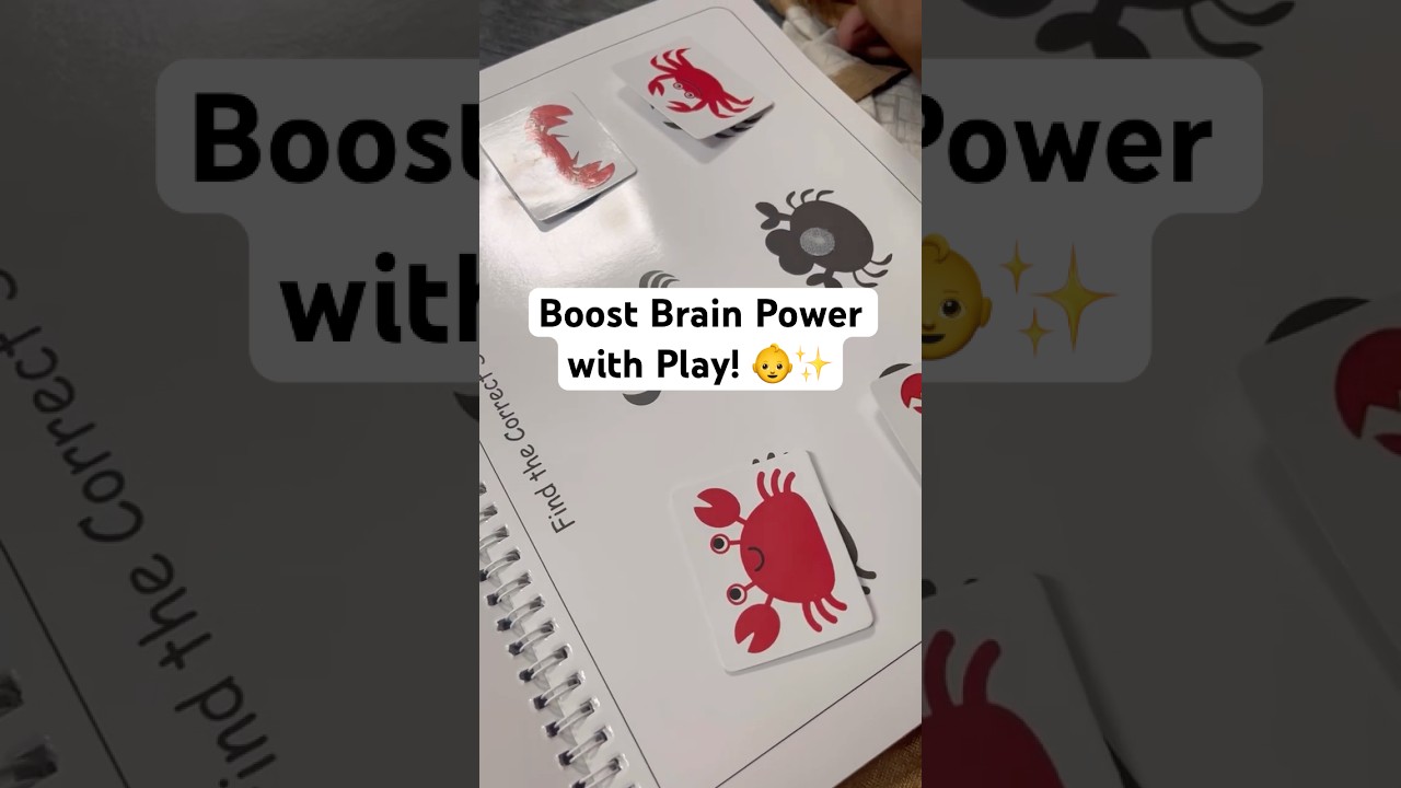 Best Busy Book by LittleMinds at Work | Smart Learning for Toddlers 2+ 💡✨ 