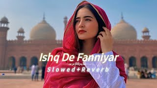 Ishq De Fanniyar [Slowed Reverb Lofi] Song | Rang De Ranjheya