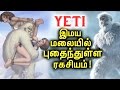 YETI இதை உங்களில் எத்தனை பேருக்கு தெரியும்? | Himalayan Mystery!