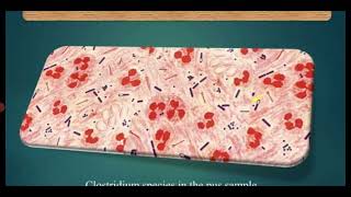 Endospore Staining by Dorner's method.@easy life science