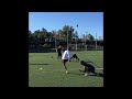 Taylor Russolino - NFL KICKER - LIVE Field Goal Reps - 50+ yards