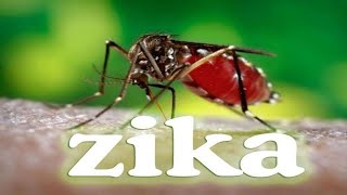 ZIKA Historia de una Epidemia  Documental