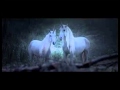 Canal+: Unicorns | HD İZLE