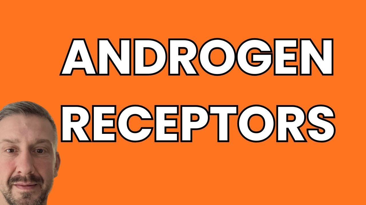 Increase Androgen Receptors | How To Increase Your Response To Testosterone