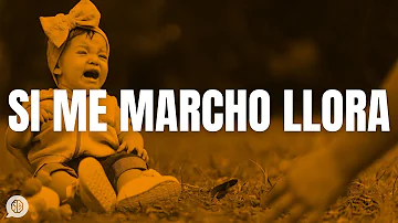 ¿Cómo es la ansiedad por separación en un niño de 2 años?