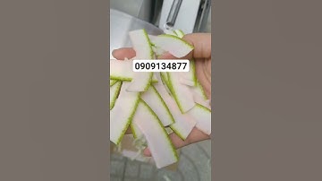 Máy thái lát cùi bưởi sấy dẻo, máy cắt lát cùi bưởi, máy thái hành lá, máy thái rau lá băng tải