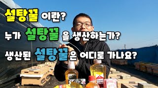 사양벌꿀(설탕꿀)이란?  양봉업자가 생산?  어디로 유통되는가?  수입꿀은 어떤가?