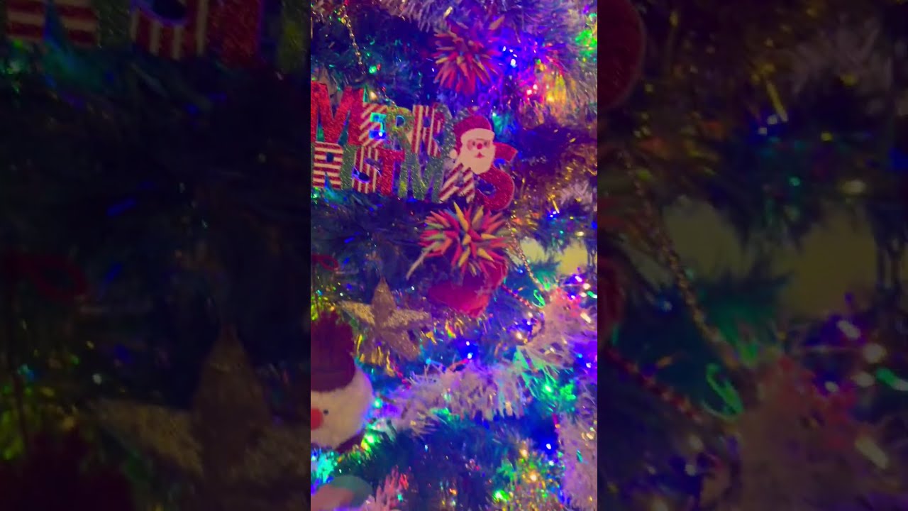 My Christmas Tree 5 Days Until Christmas england uk christmas My Christmas Tree 5 Days Until Christmas england uk christmas