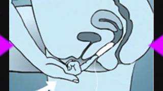 How to Use a Tampon for Beginners How to Use a Tampon for Beginners