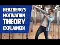 Herzbergs motivation theory explained