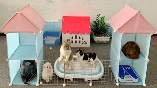 DIY a beautiful house for a Cute White Mini Teacup Pomeranian dog and a Moon Cat by MR PET FAMILY 9,891 views 7 months ago 5 minutes, 3 seconds