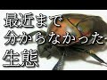 【解説】♯3カナブン～なぜか幼虫が見つからなかった昆虫～