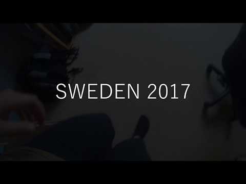 Video: Švédsko Hýbe Sociálnou Mediálnou Scénou - Sieť Matador