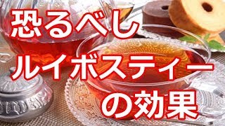 【雑学】　恐るべしルイボスティーの効能　世界の色々な雑学　せかいろチャンネル