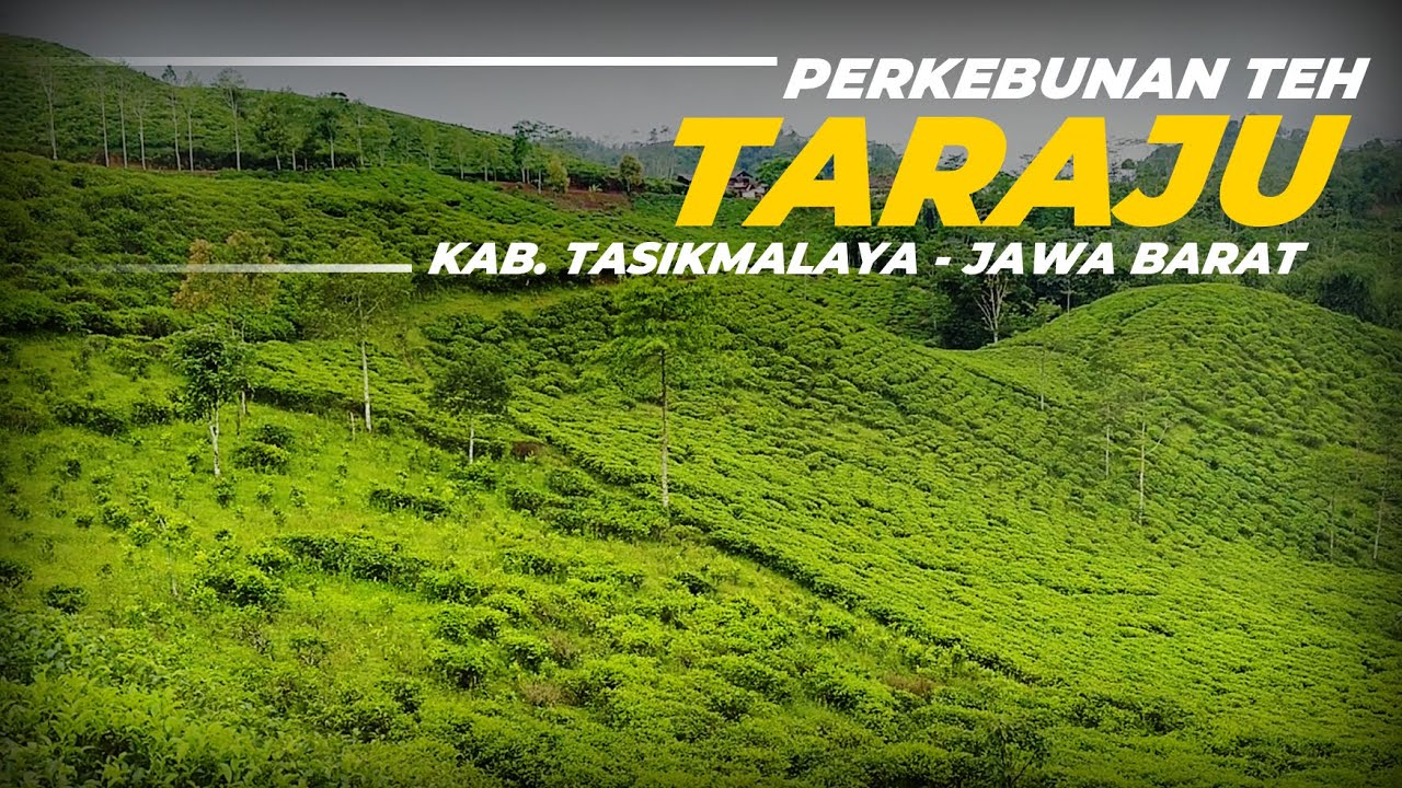 Bikin Betah Suasana ! PUNCAK PASS TARAJU Kab. Tasikmalaya 
