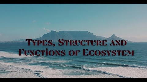 Types, Structure and Functions of Ecosystem