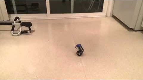 Mobile Inverted Pendulum Balancing - MAE 143C Final Project