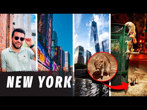 Video: 5 Tururi istorice fascinante ale orașului New York