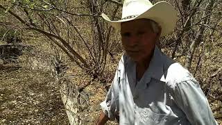 El Salado Puebla (Las Salinas) 1ra parte #salitre #puebla #becerra #becerros #guamuchil