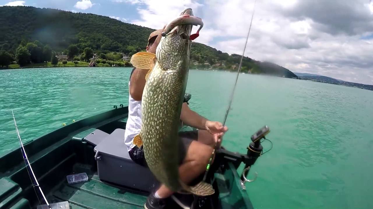 Le brochet en lac alpin par Stéphane TALMON YouTube