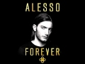 Alesso x polishow  payback polishow private umf intro edit