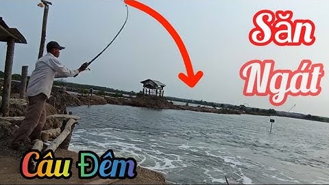 Câu Đêm ở Đùng Tôm/ Trúng Bầy cá Ngát/