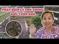 Bt ng pht hin trm rau trong khu vn nng chang chang m vn i lng sc mua thm hoa